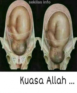 wali